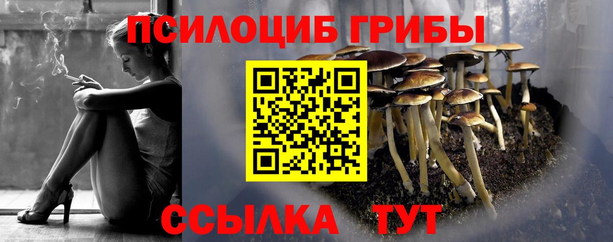 Псилоцибиновые грибы прущие грибы  Вход с VPN  Галлюциногенные грибы Magic Shrooms  Карачаевск 